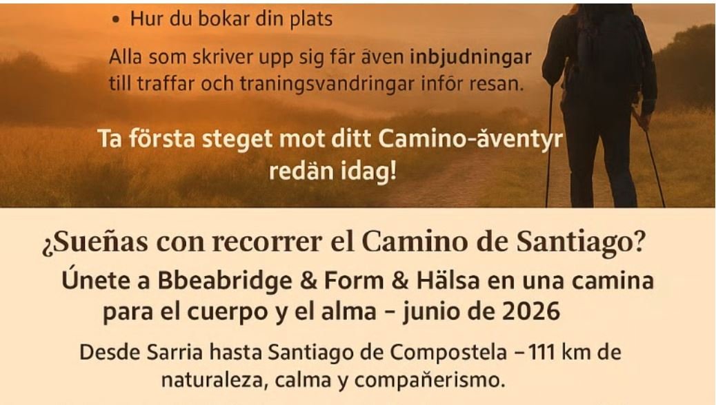 Aragon el camino