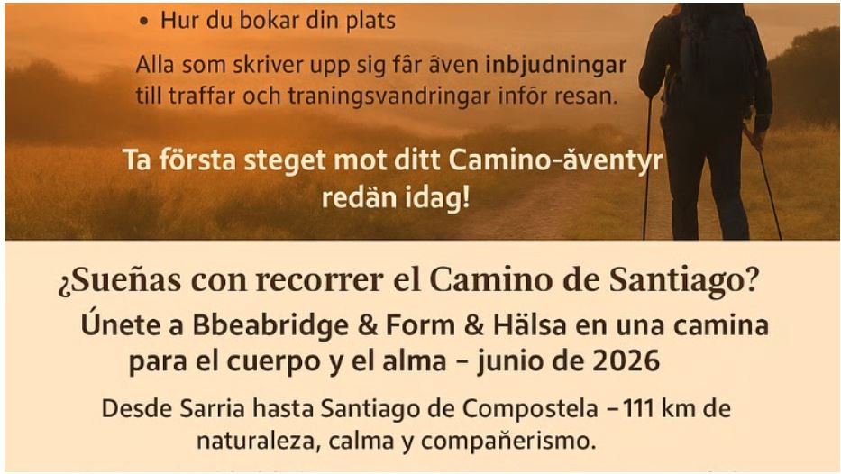 el camino